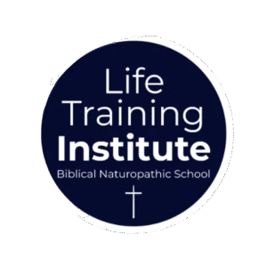 1-9900721-removebg-preview (1)