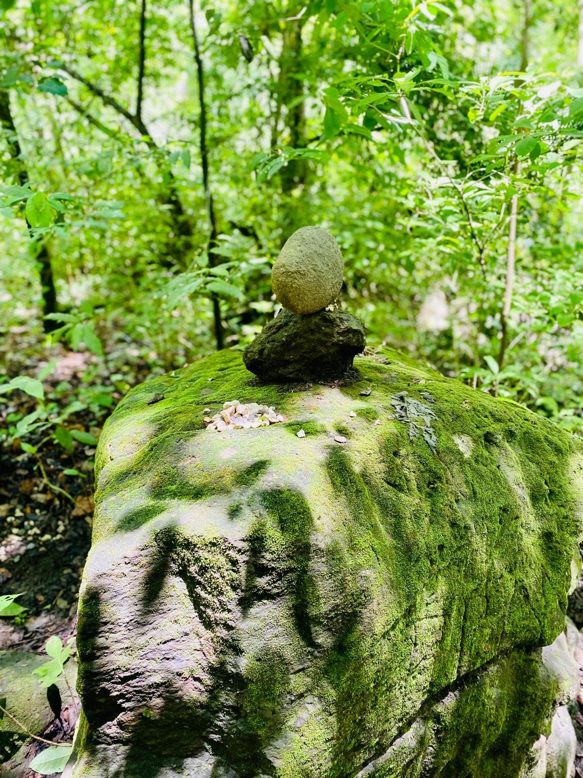 Calm nature setting
